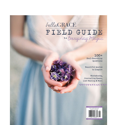 Field Guide to Everyday Magic Issue 7